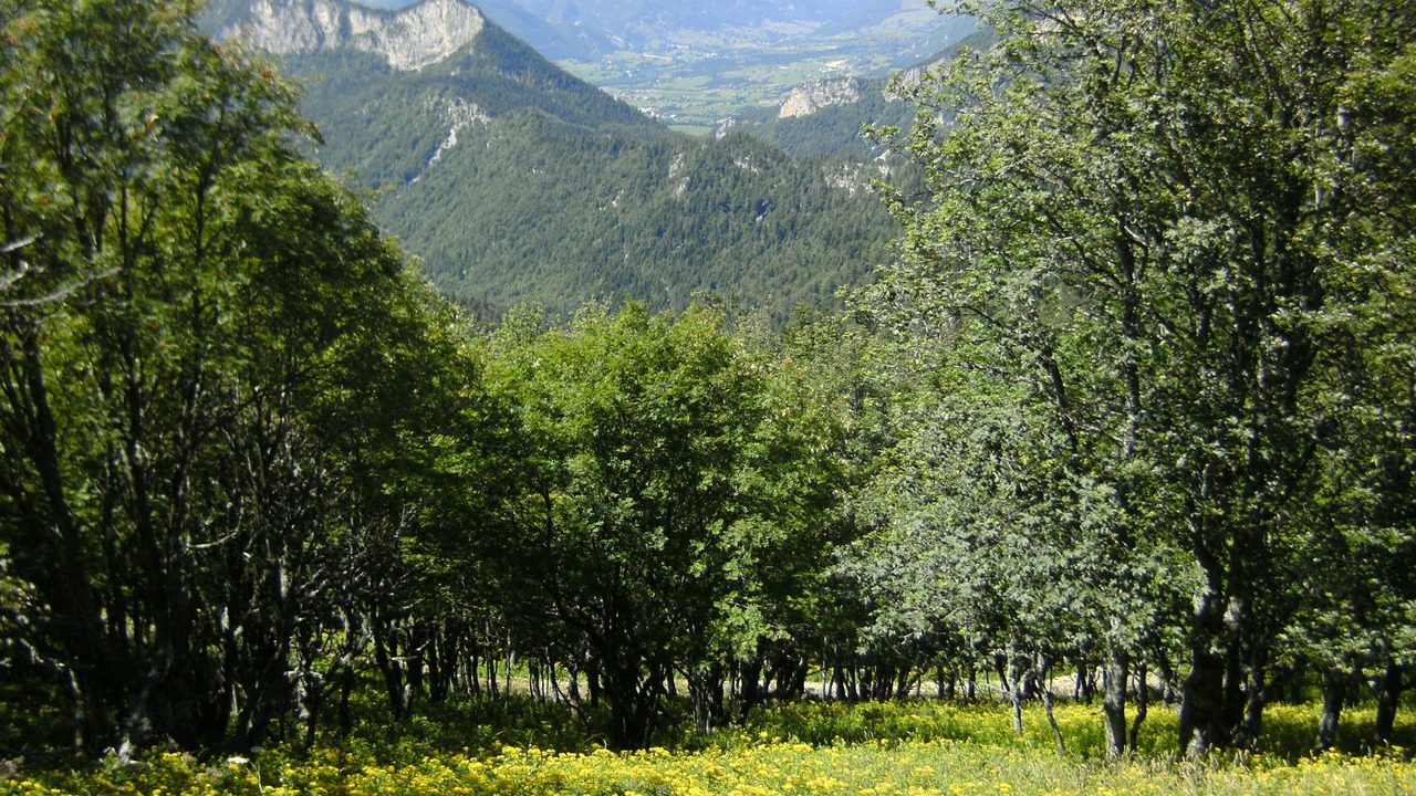 Photo of Outdoor in La Faurie