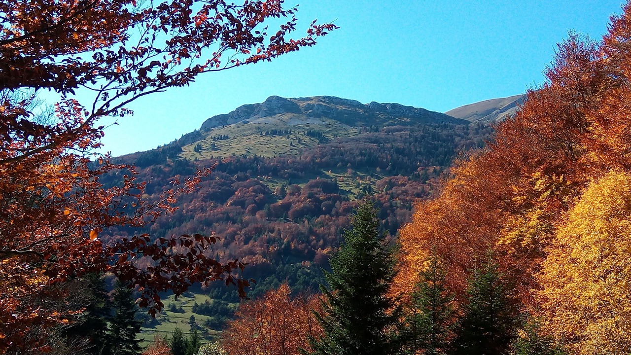 Photo of Others in La Faurie