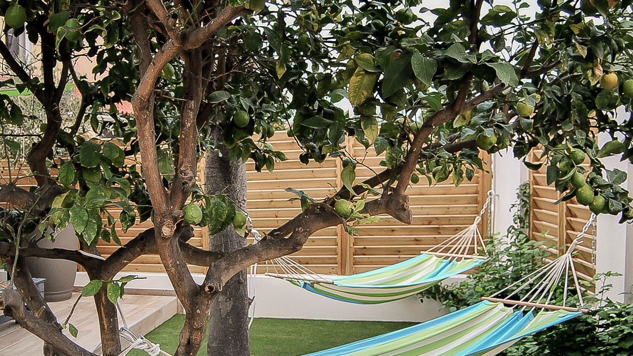 Photo of Outdoor in Bompas