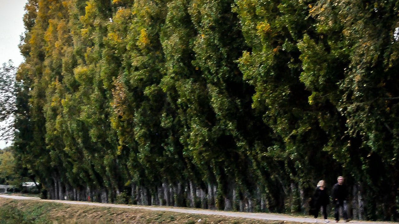 Photo of Outdoor in Bompas
