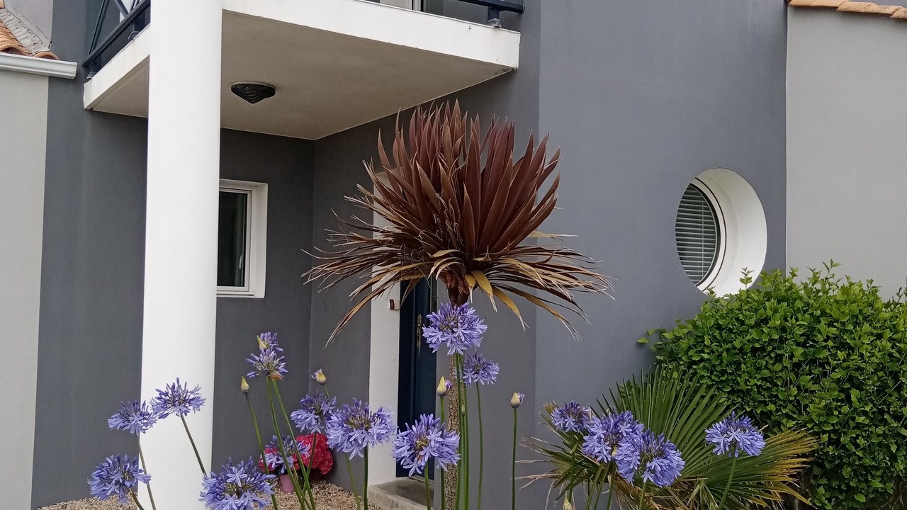 Photo of Outdoor in Bretignolles-sur-Mer