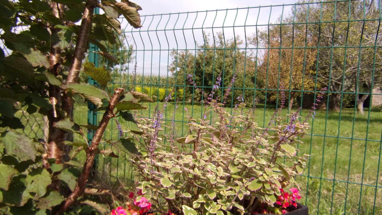 Photo of Outdoor in Dineault