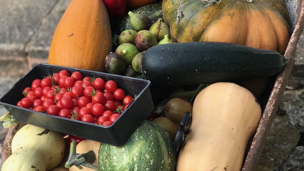 Photo of Others in Ladignac le Long