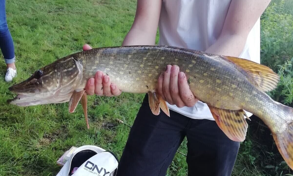 Photo of Others in Ladignac le Long