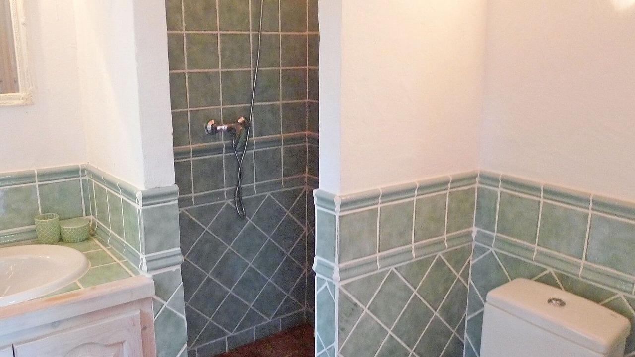 Photo of Bathroom in Adsubia