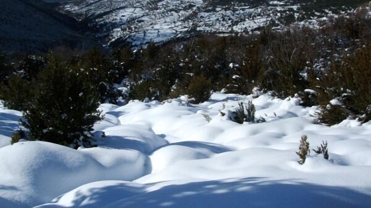Photo of Outdoor in Barbenuta