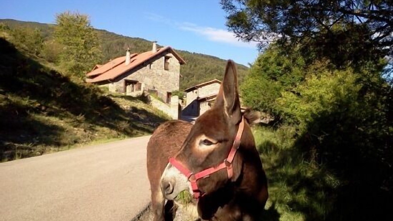Photo of Outdoor in Gracionepel