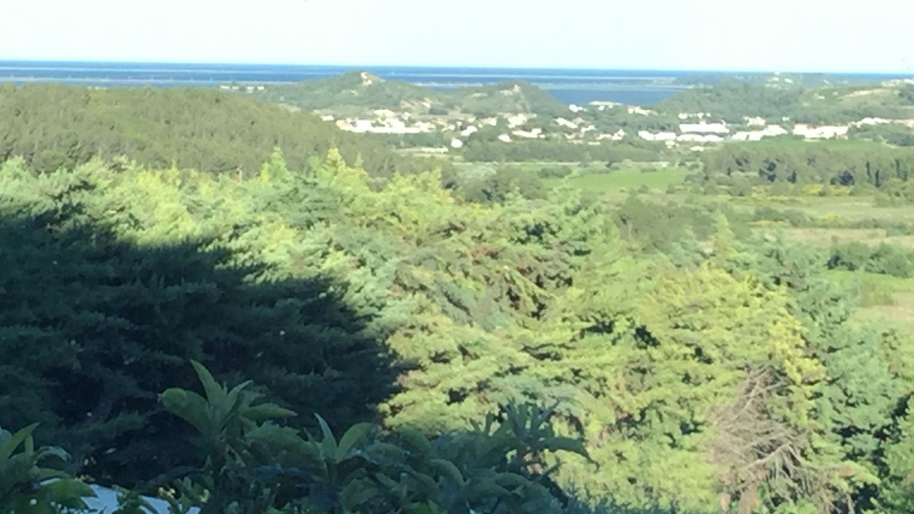 Photo of Others in Peyriac-de-Mer