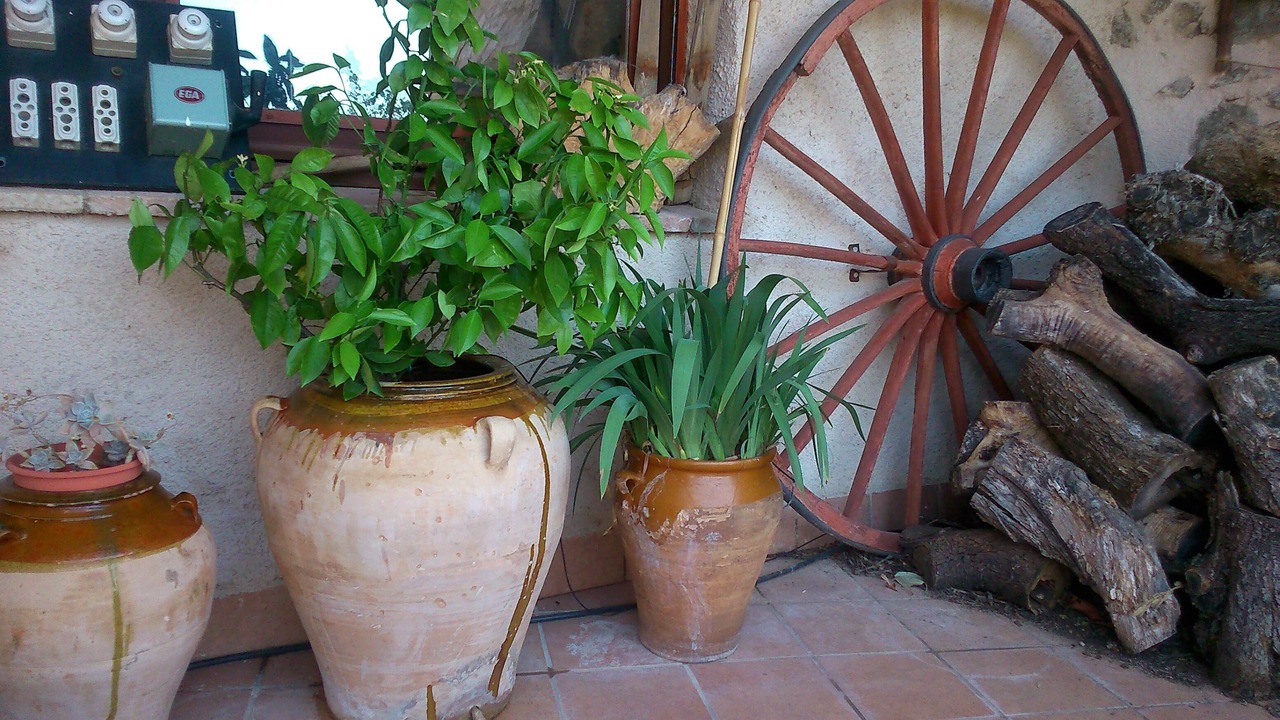 Photo of Outdoor in La Vilella Baixa