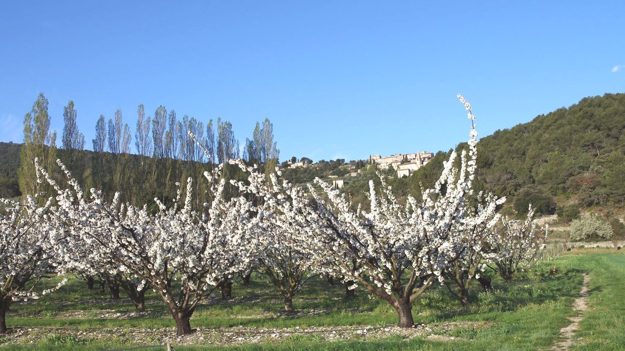 Photo of Outdoor in Vaison-la-Romaine