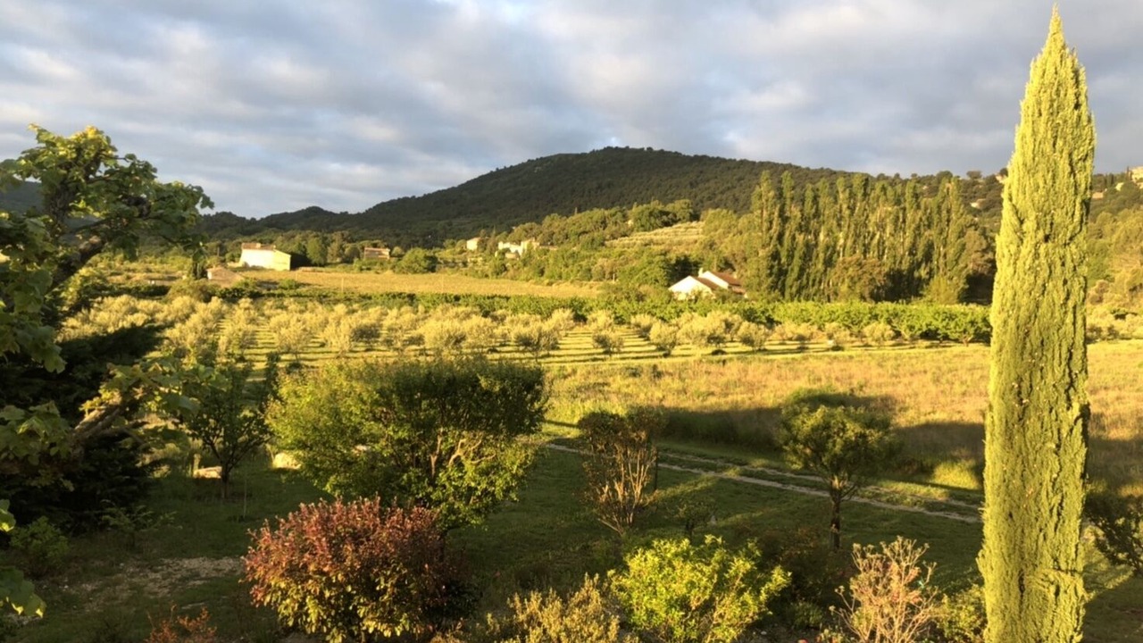 Photo of Outdoor in Vaison-la-Romaine