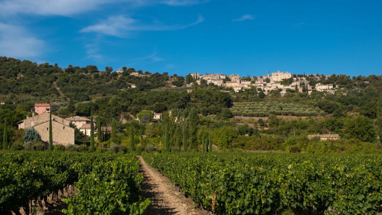 Photo of Outdoor in Vaison-la-Romaine