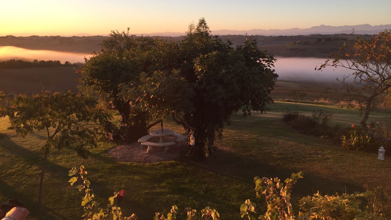 Photo of Outdoor in Labastide-Paumes