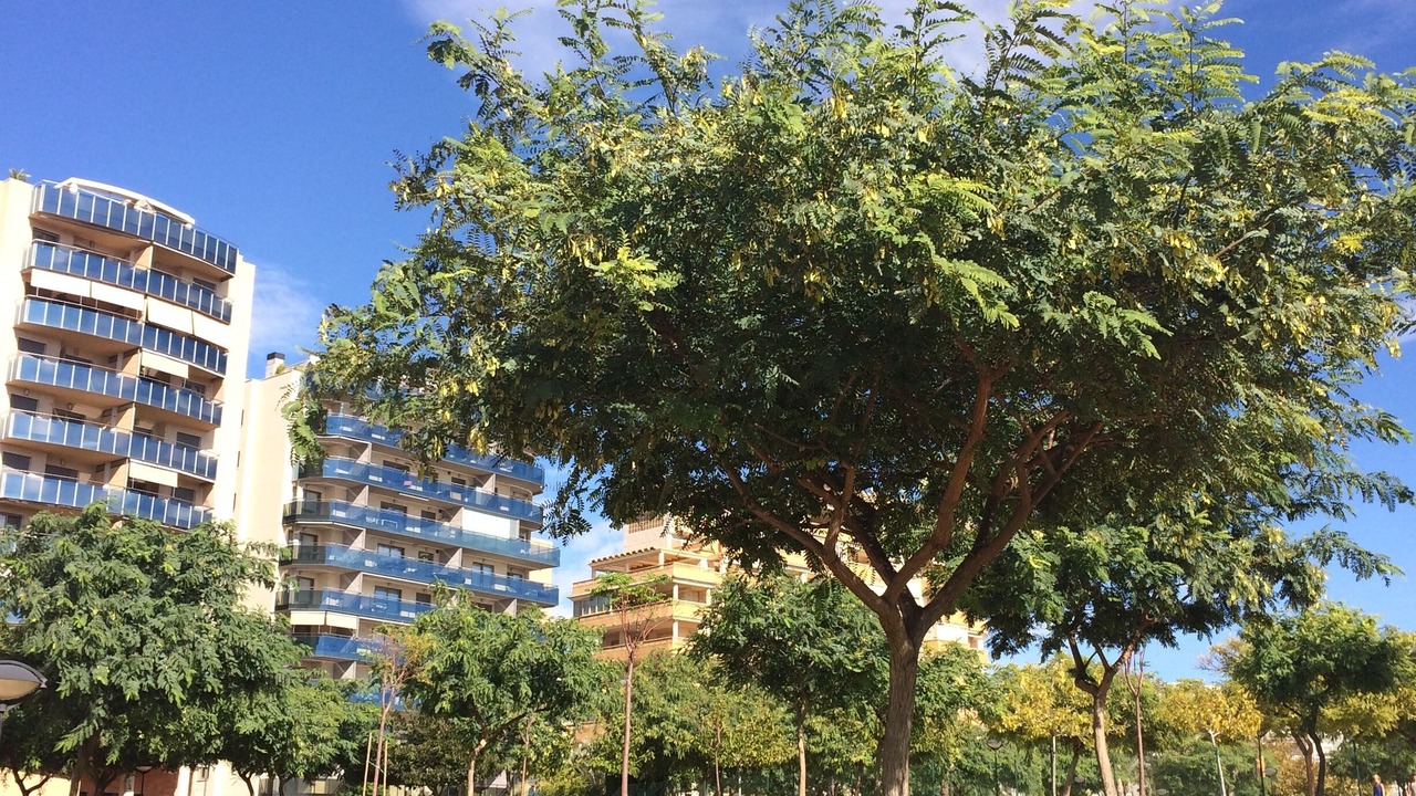 Photo of Outdoor in Coveta Fuma