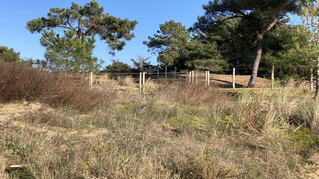 Photo of Outdoor in Longeville-sur-Mer
