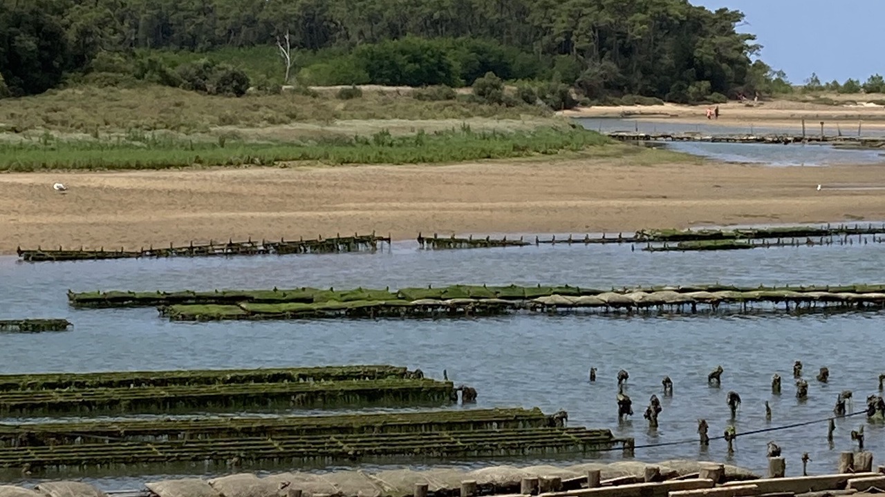 Photo of Others in Longeville-sur-Mer