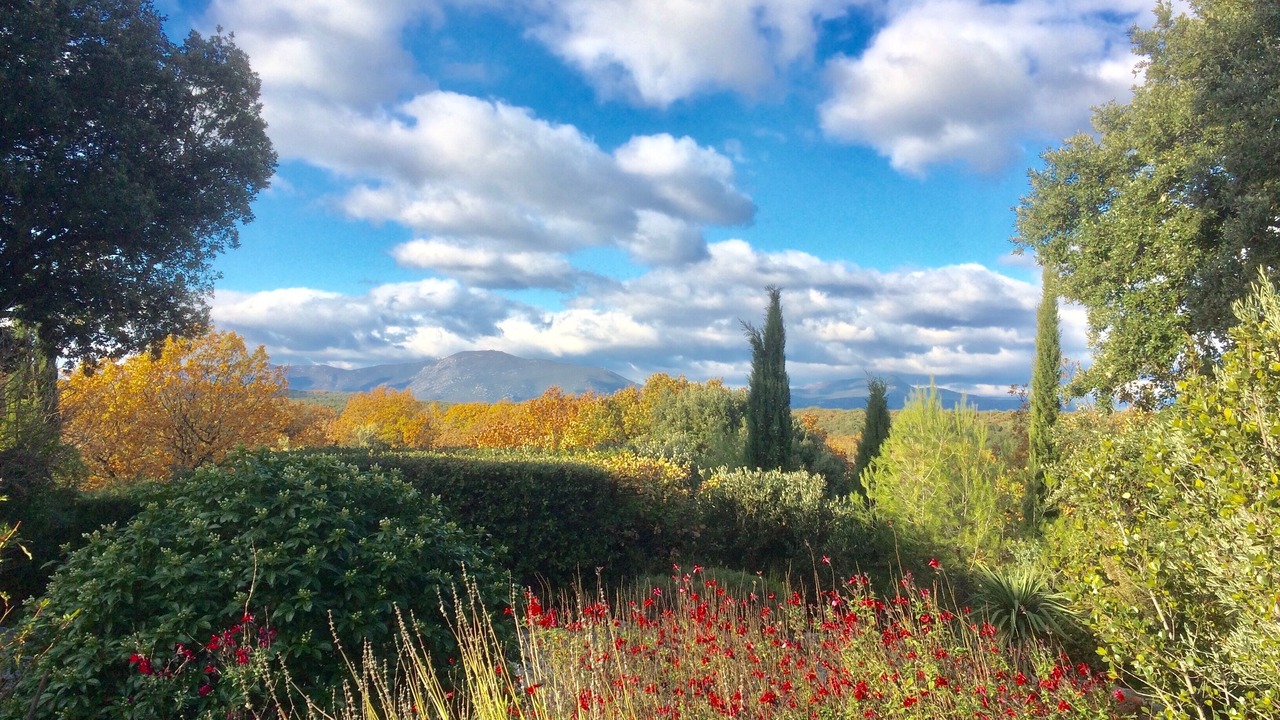 Photo of Outdoor in Ferrieres-les-Verreries