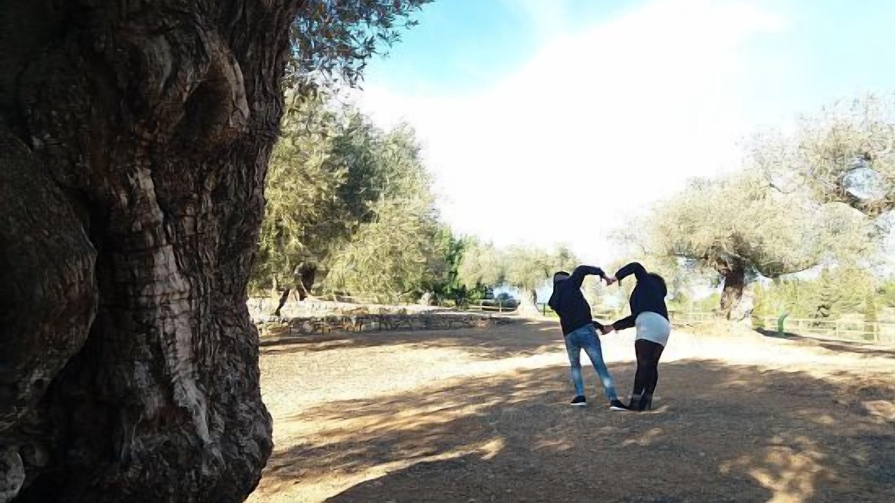 Photo of Others in Enroig