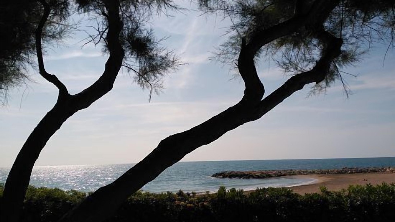 Photo of Others in Enroig