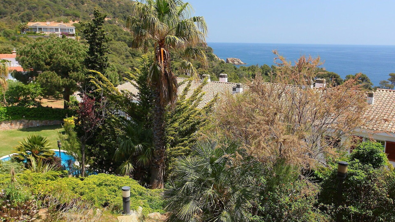 Photo of Others in Tossa de Mar