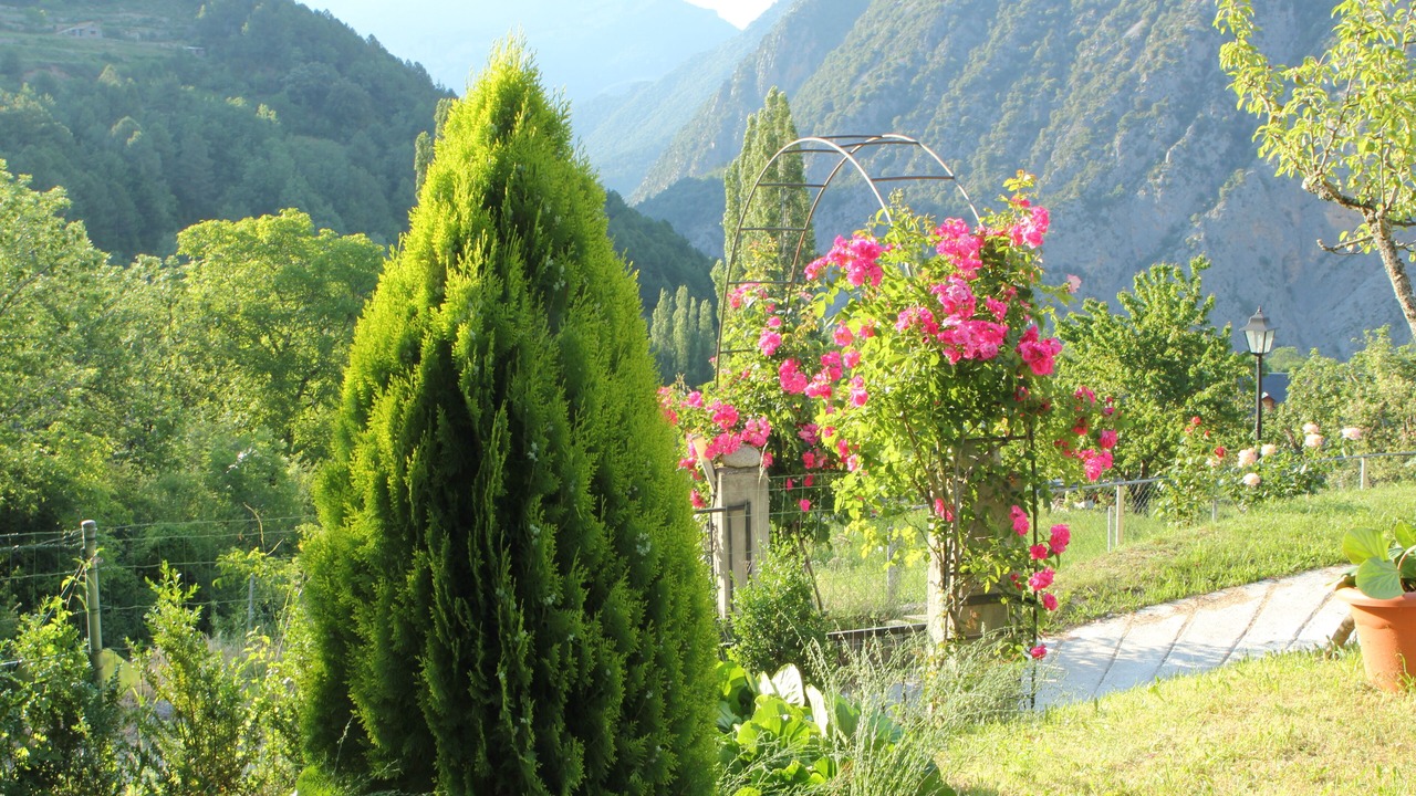 Photo of Outdoor in Saravillo