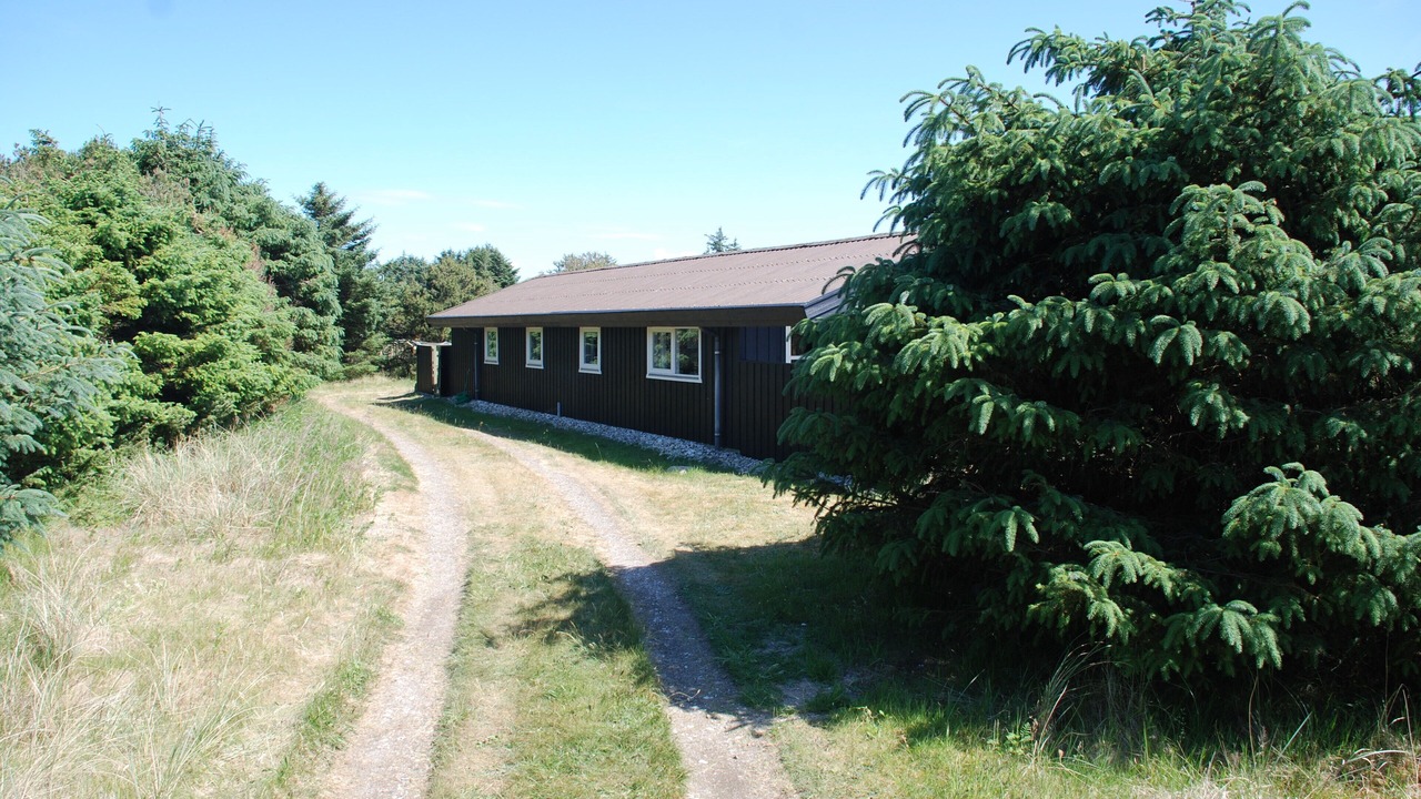 Photo of Outdoor in Saltum