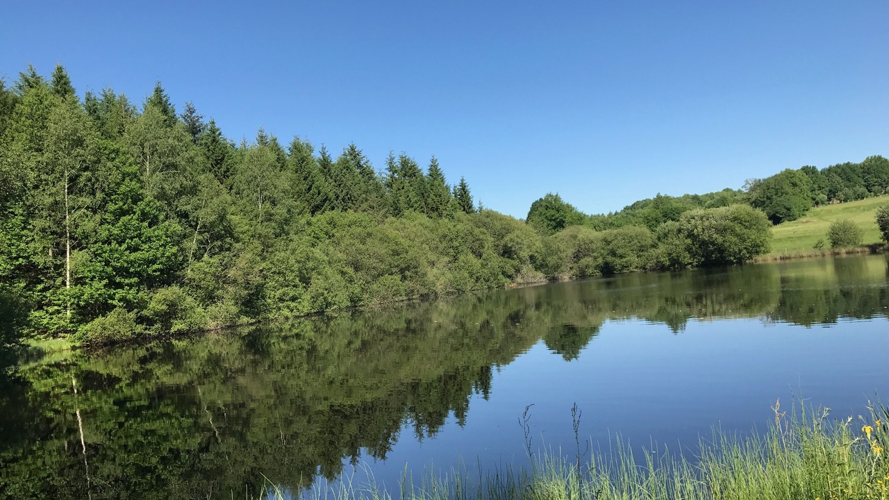 Photo of Outdoor in Ladignac le Long