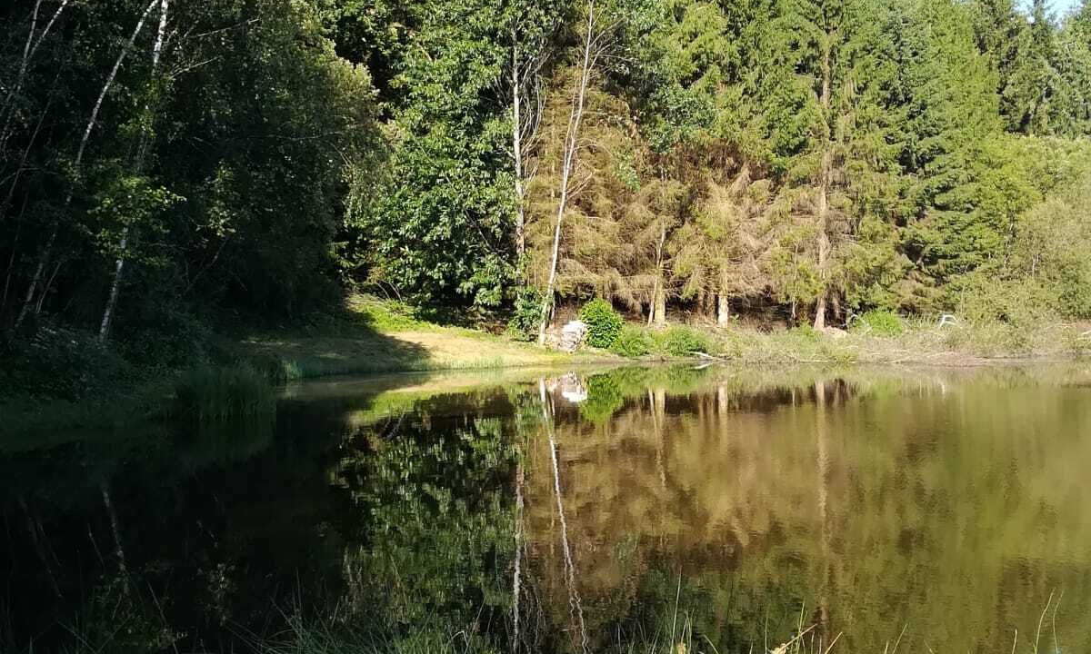 Photo of Outdoor in Ladignac le Long