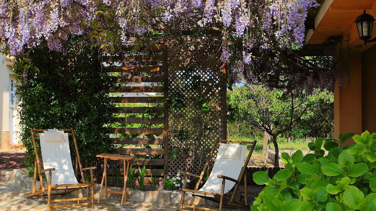 Photo of Outdoor in La Goba