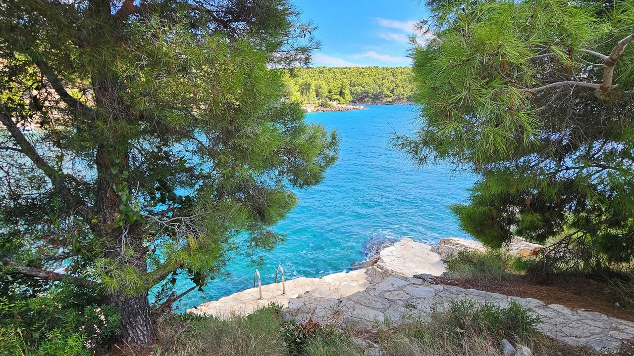 Photo of Others in Cove Osibova (Milna)