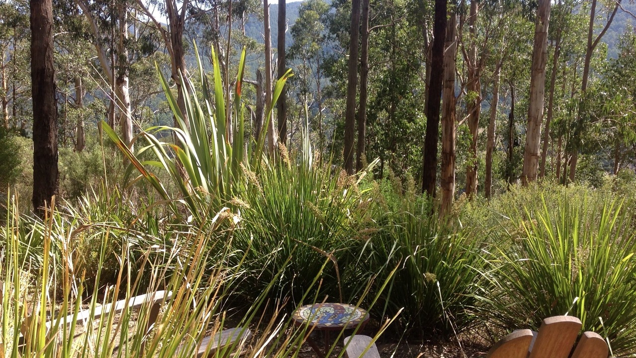 Photo of Outdoor in Warburton