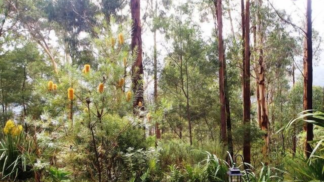 Photo of Outdoor in Warburton