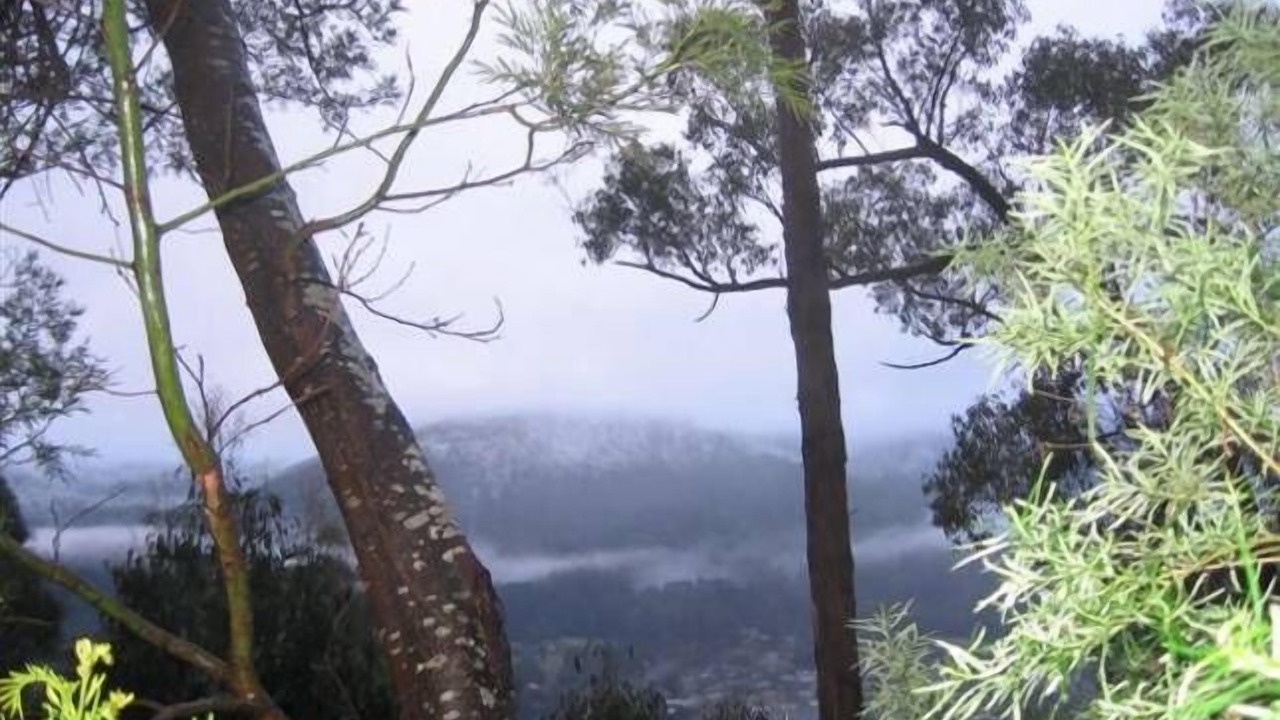 Photo of Outdoor in Warburton