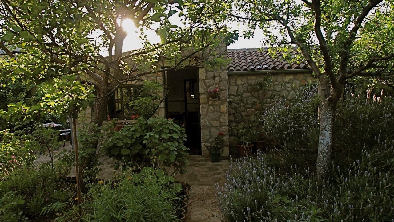 Photo of Outdoor in Veli Losinj
