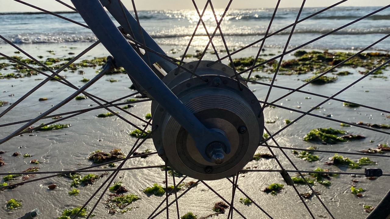 Photo of Others in Saint-Georges-d'Oleron