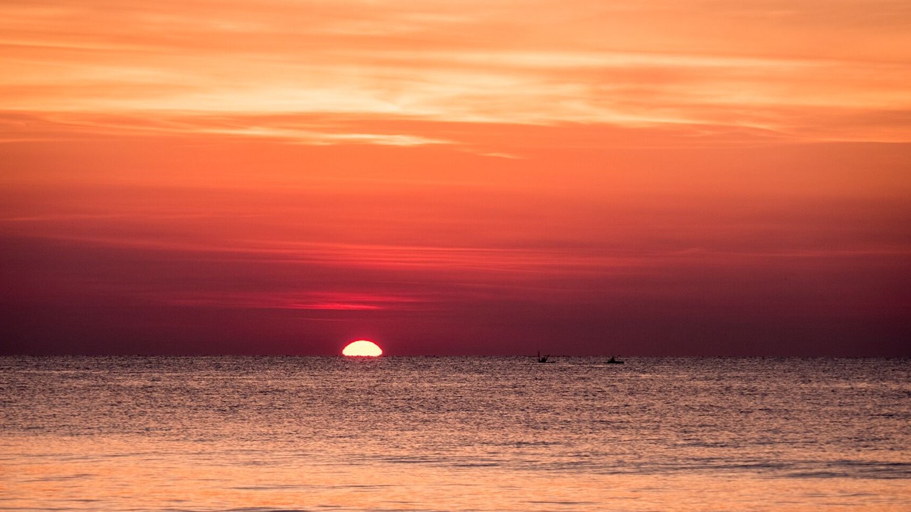 Photo of Others in North Beach