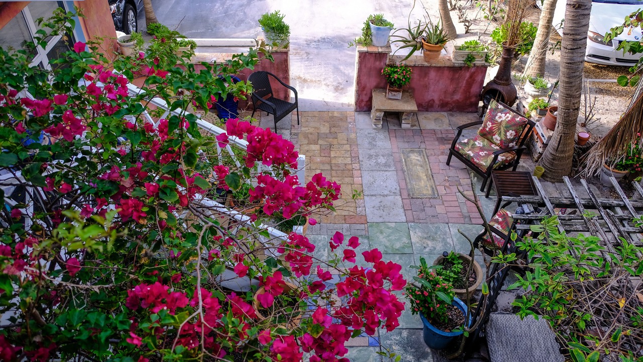 Photo of Patio Balcony in North Beach