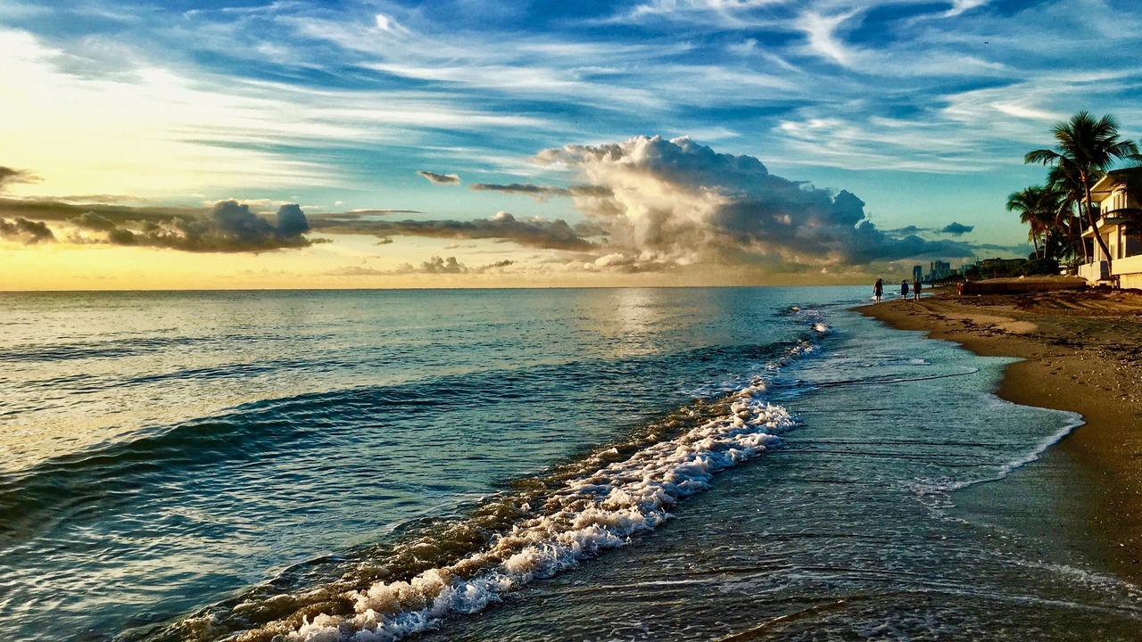 Photo of Others in North Beach