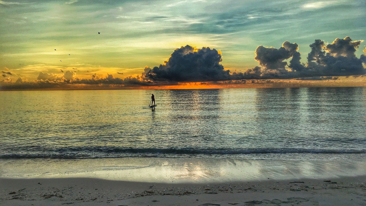 Photo of Others in North Beach