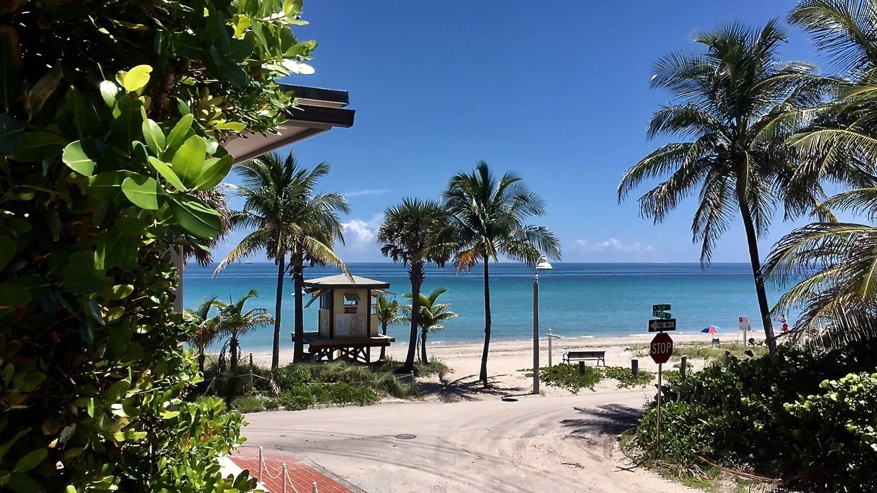 Photo of Others in North Beach