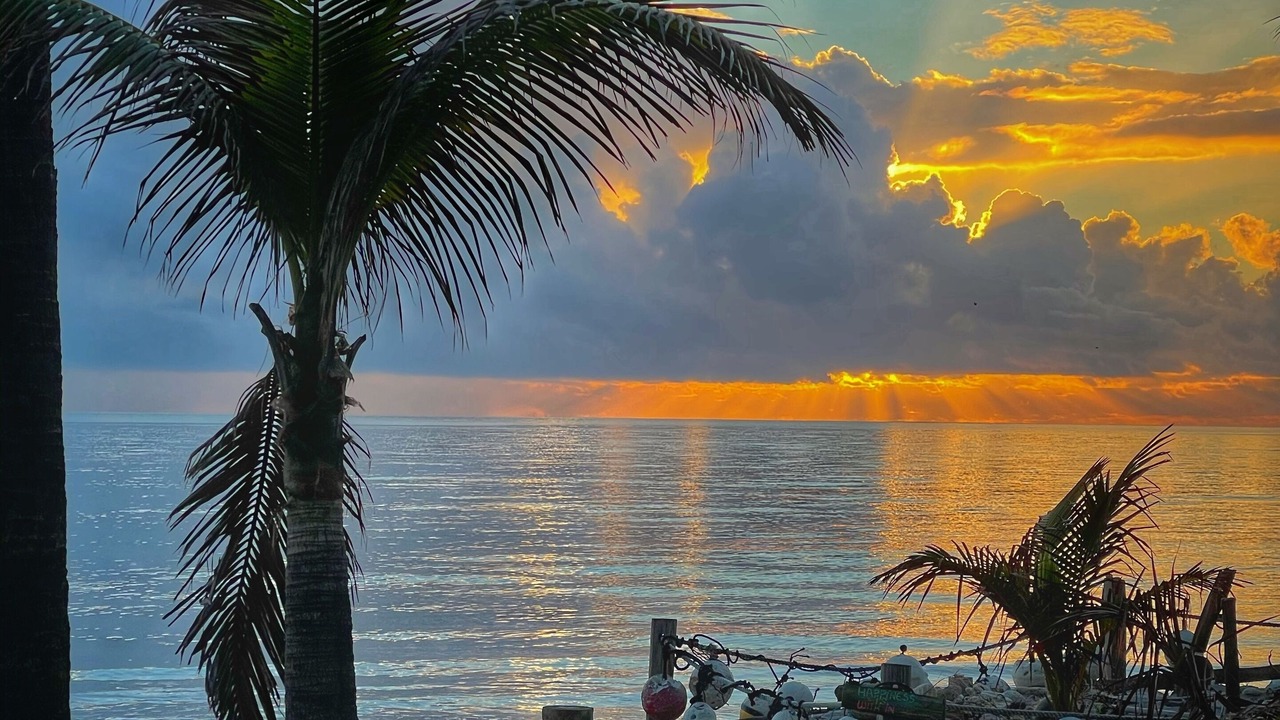 Photo of Others in North Beach