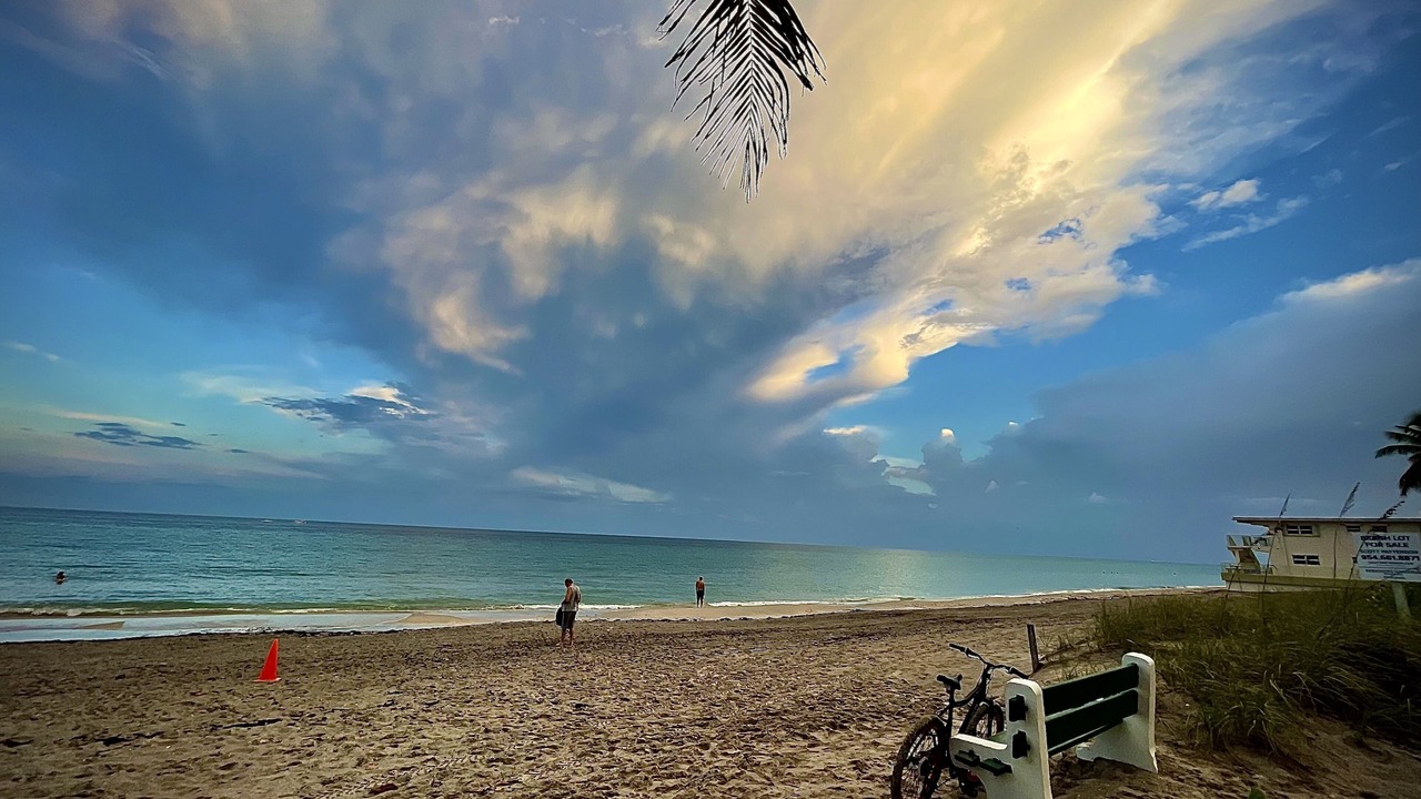 Photo of Others in North Beach