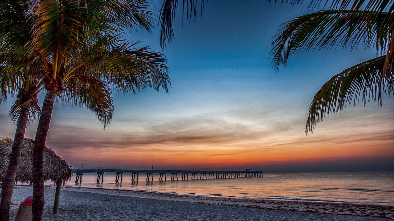 Photo of Others in North Beach