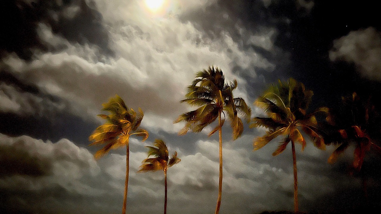 Photo of Outdoor in North Beach