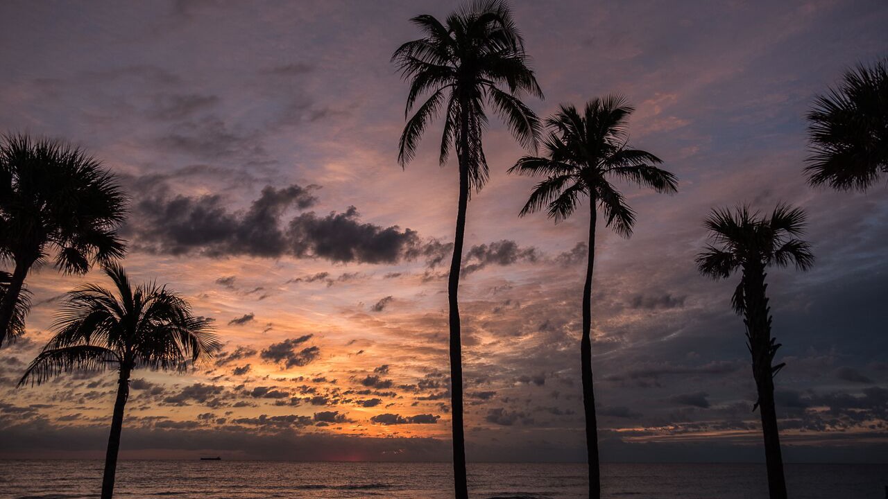 Photo of Others in North Beach