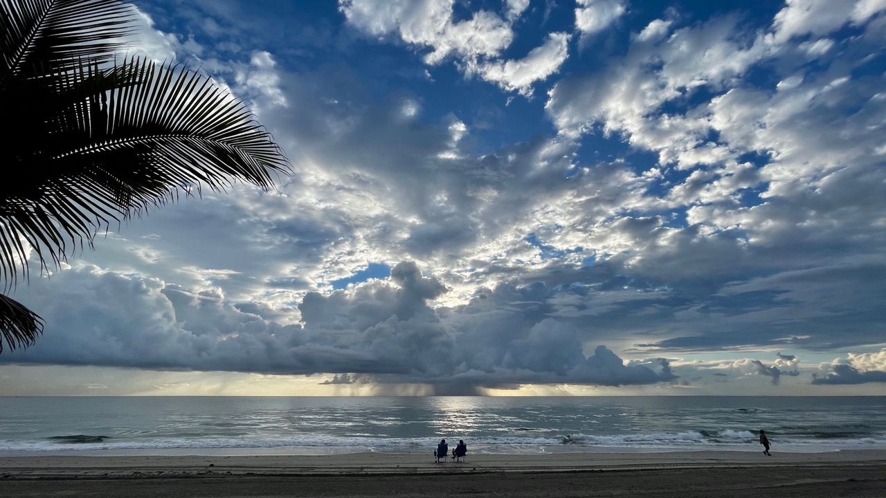 Photo of Others in North Beach