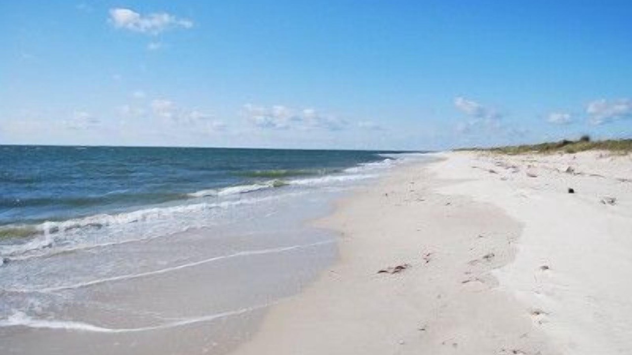 Photo of Others in Bay Ridge