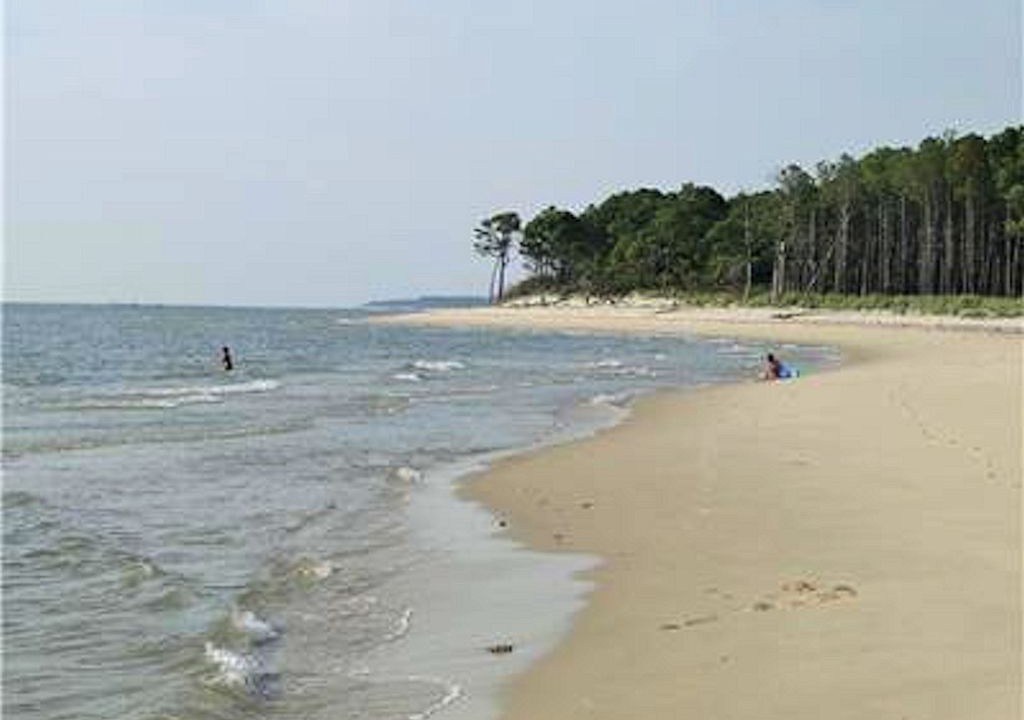 Photo of Others in Bay Ridge