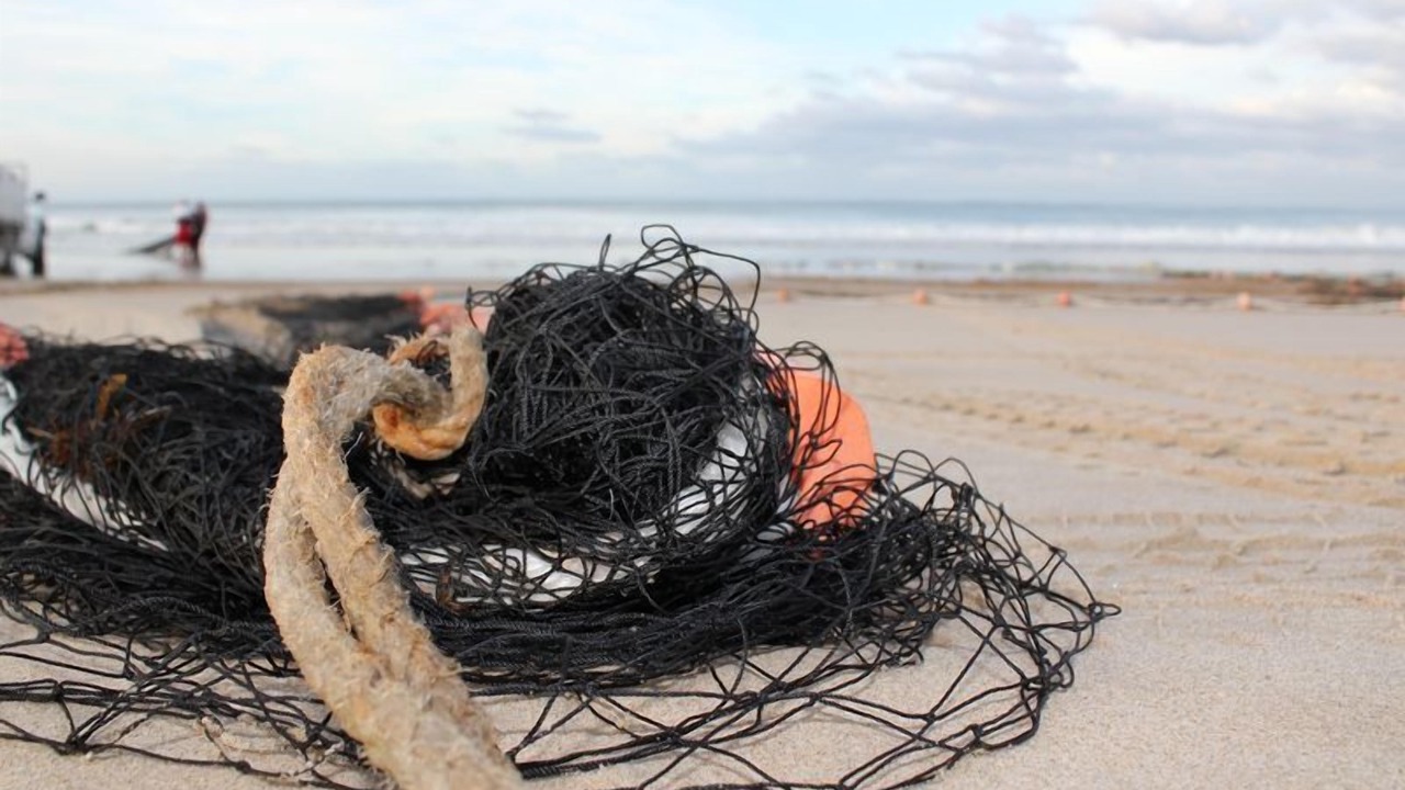 Photo of Others in Hat Head