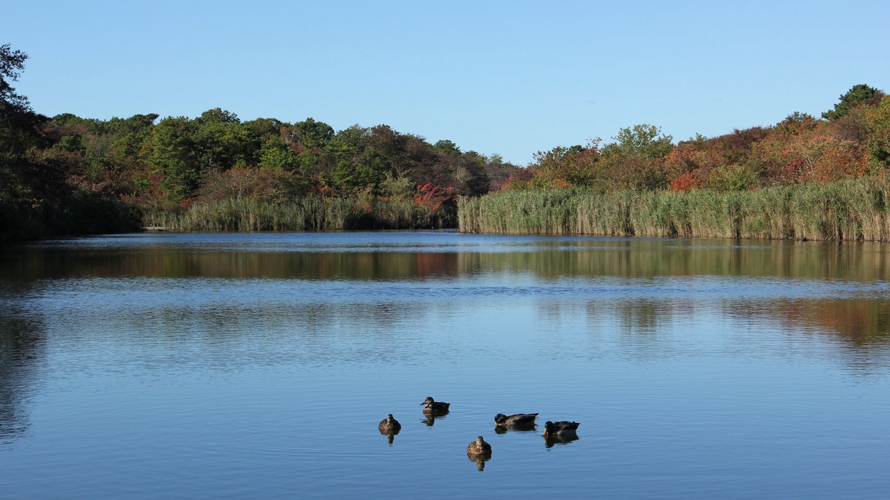 Photo of Others in Quioque